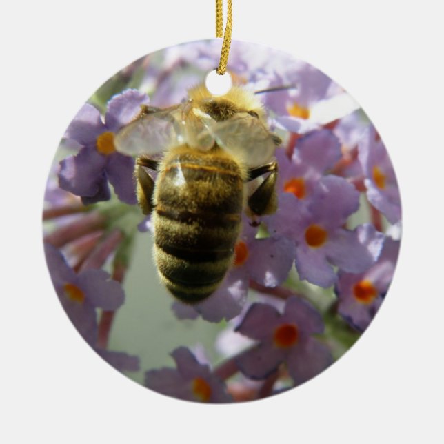Ornamento De Cerâmica Ornament de Honeybee e Buddleia (Frente)