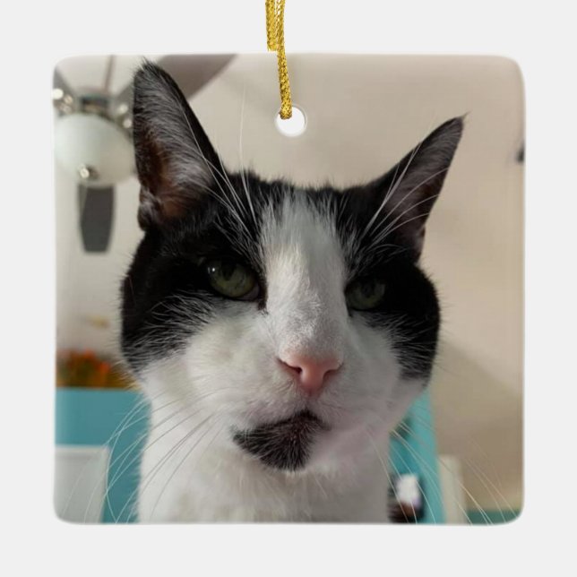 Ornamento De Cerâmica Ornament de Morgan (Frente)