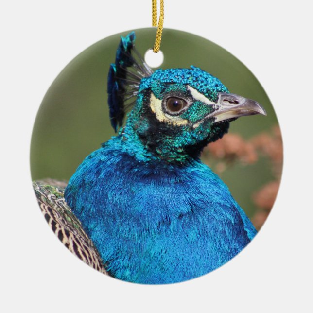 Ornamento De Cerâmica Ornament Peacock (Frente)