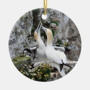 Ornamento De Cerâmica Ornamento: Gannets de amor