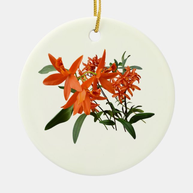 Ornamento De Cerâmica Orquídea Epidendrum Laranja (Frente)
