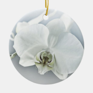 Ornamento De Cerâmica Orquídea Phalaenopsis Branca
