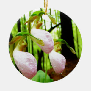 Ornamento De Cerâmica Orquídea silvestre de Lady Slipper Rosa