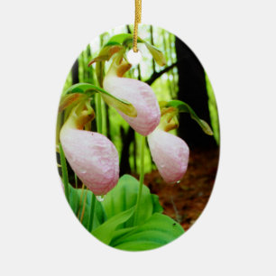 Ornamento De Cerâmica Orquídea silvestre de Lady Slipper Rosa