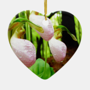 Ornamento De Cerâmica Orquídea silvestre de Lady Slipper Rosa