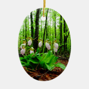 Ornamento De Cerâmica Orquídea silvestre de Lady Slipper Rosa