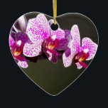 Ornamento De Cerâmica Orquídeas cor-de-rosa floral, cor-de-rosa, Elegant<br><div class="desc">Foto romântica de orquídeas rosa elegante de H Cooper</div>