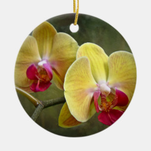 Ornamento De Cerâmica Orquídeas de traça amarelas - Phalaenopsis