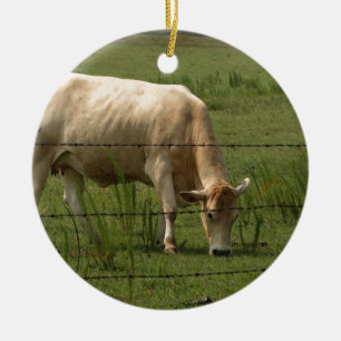 Ornamento De Cerâmica Os charolês acobardam a pastagem no campo