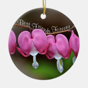 Ornamento De Cerâmica Os melhores amigos para sempre