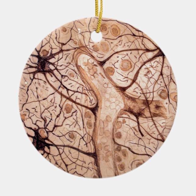 Ornamento De Cerâmica Os neurônios 3 de Cajal (Frente)