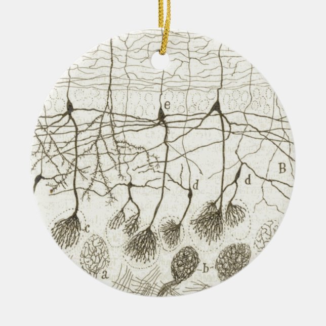 Ornamento De Cerâmica Os neurônios 8 de Cajal (Frente)