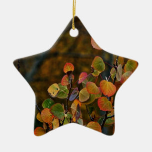 ORNAMENTO DE CERÂMICA OS RAMOS DE ÁRVORE DE ASPEN COM QUEDA COLORIRAM A