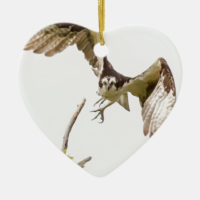 Ornamento De Cerâmica Osprey Chegando Em Você (Frente)