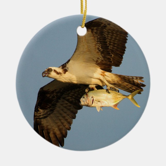 Ornamento De Cerâmica osprey com peixes (Frente)