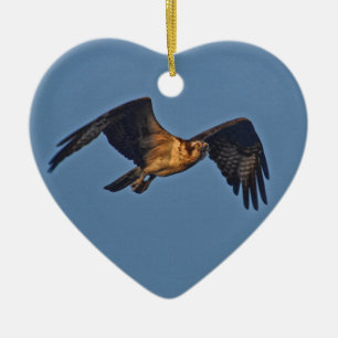 Ornamento De Cerâmica Osprey Fish Eagle Voando ao Sol