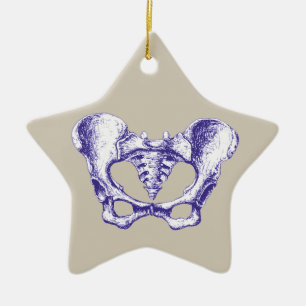 Ornamento De Cerâmica Ossos da pelve humana