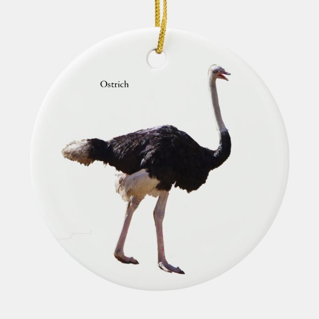 Ornamento De Cerâmica Ostrich ornament (Frente)