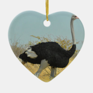 Ornamento De Cerâmica Ostrige para uma corrida