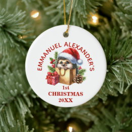 Ornamento De Cerâmica Ouriço Fofo Primeiro Natal Personalizado
