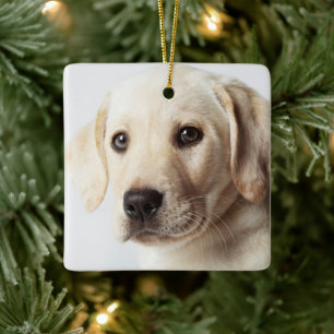 Ornamento De Cerâmica Ouro Labrador Puppy