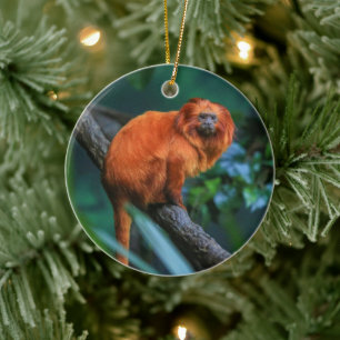 Ornamento De Cerâmica Ouro Lion Tamarin