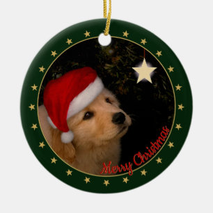 Ornamento De Cerâmica Ouro Retriever Puppy com Santa Hat