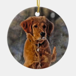 Ornamento De Cerâmica Ouro Retriever Puppy na neve