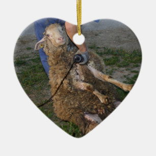 Ornamento De Cerâmica Ouvintes