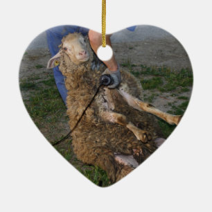 Ornamento De Cerâmica Ouvintes