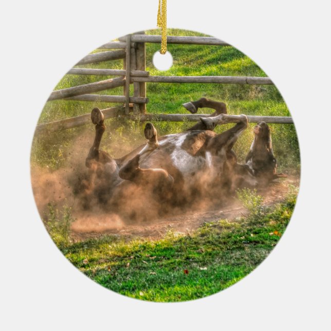 Ornamento De Cerâmica Paint Horse Rolling in Dust Funny Photo (Traseira)