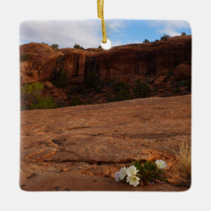 Ornamento De Cerâmica Paisagem Arches Slickrock e Evening Primrose