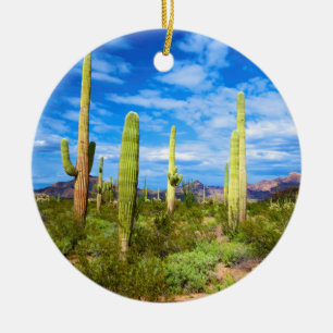 Ornamento De Cerâmica Paisagem de cacto do deserto, Arizona