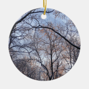 Ornamento De Cerâmica Paisagem Natural da Manhã de inverno II