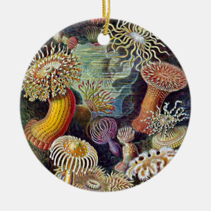 Ornamento De Cerâmica Paisagem Natural Do Mar De Haeckel Anemone Ocean L