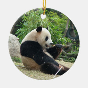 Ornamento De Cerâmica Panda gigante em uma fotografia de zoológico de an