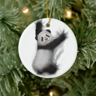 Ornamento De Cerâmica Panda Mostra Presentes De Camisetas De Animais Grá