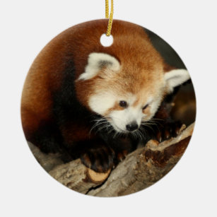 Ornamento De Cerâmica Panda vermelha