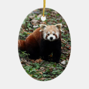 Ornamento De Cerâmica Panda vermelha