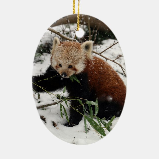 Ornamento De Cerâmica Panda vermelha (Verso)