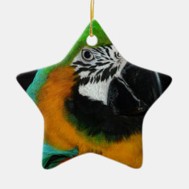 Ornamento De Cerâmica Papagaio