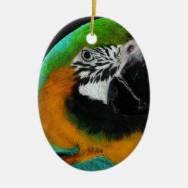 Ornamento De Cerâmica Papagaio