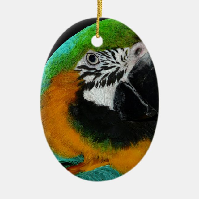 Ornamento De Cerâmica Papagaio (Frente)