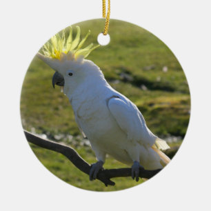 Ornamento De Cerâmica Papagaio de Cockatoo amarelo e branco