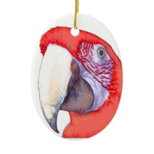 Papagaio do Macaw de Greenwing