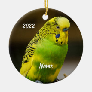 Ornamento De Cerâmica Parakeet Personalizado do Orçamento Inglês