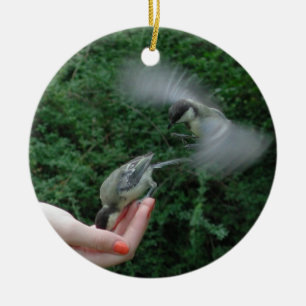 Ornamento De Cerâmica Parus major