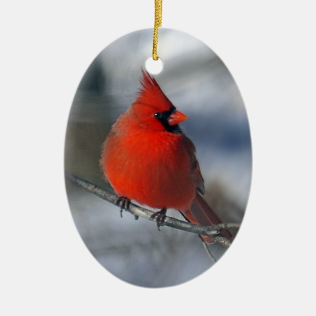 Ornamento De Cerâmica Pássaro cardinal vermelho (Frente)