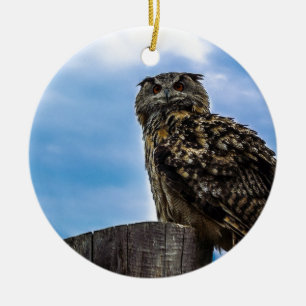 Ornamento De Cerâmica Pássaro Coruja Penas Animal Nature Destino Paz Amo
