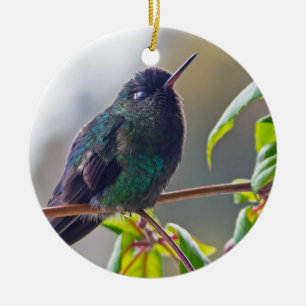 Ornamento De Cerâmica Pássaro da Costa Rica - Hummingbird com gargalhad